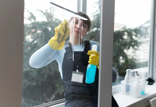 Nettoyage de vitres intérieures et extérieures à Castirla
